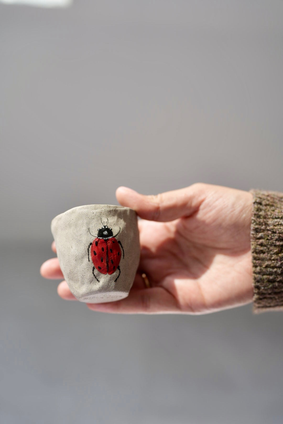 Ladybug Cup - Small